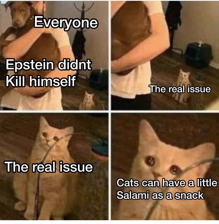 Cats Can Have A Little Salami Know Your Meme