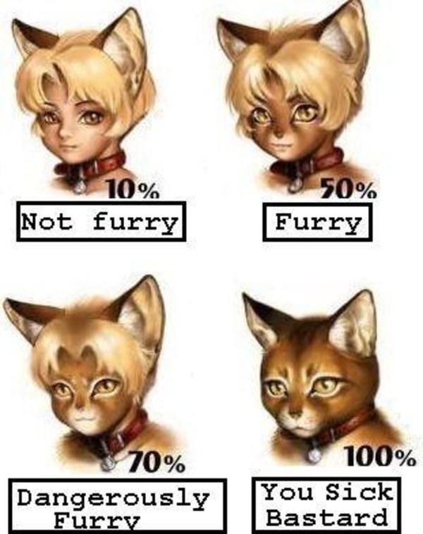 600px x 758px - Furry Scale | Know Your Meme