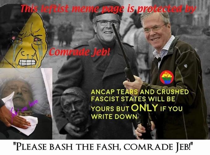 Bash The Fash Know Your Meme