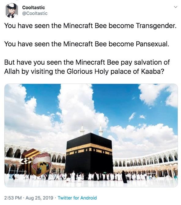 The Minecraft Bee Is Trans Know Your Meme
