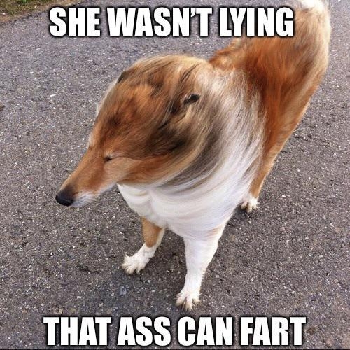 Dog Fard Video - She Wasn't Lying, That Ass Can Fart | Know Your Meme