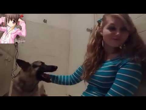 480px x 360px - Dogpill / White Girls Fuck Dogs | Know Your Meme