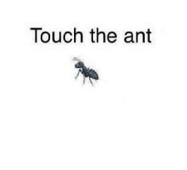 Touch the Ant | Know Your Meme