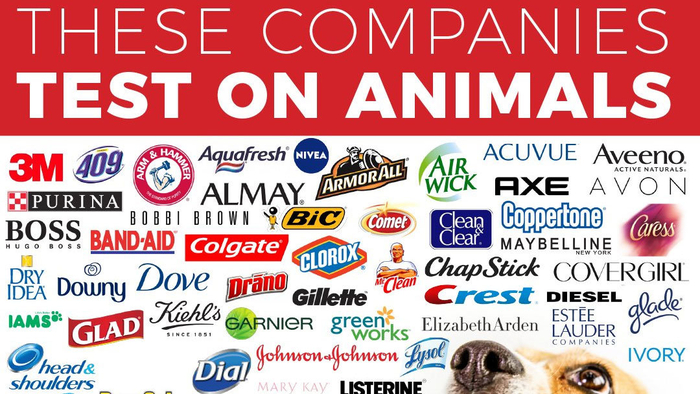 These Companies Test On Animals | Know Your Meme