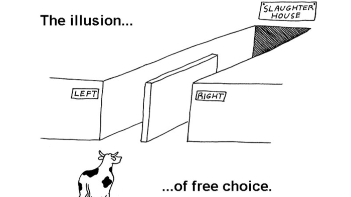 The Illusion of Free Choice | Know Your Meme