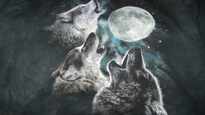 The Mountain Mens Three Wolf Moon Short Sleeve Tee