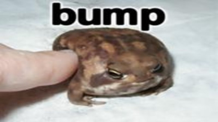 Bump | Know Your Meme