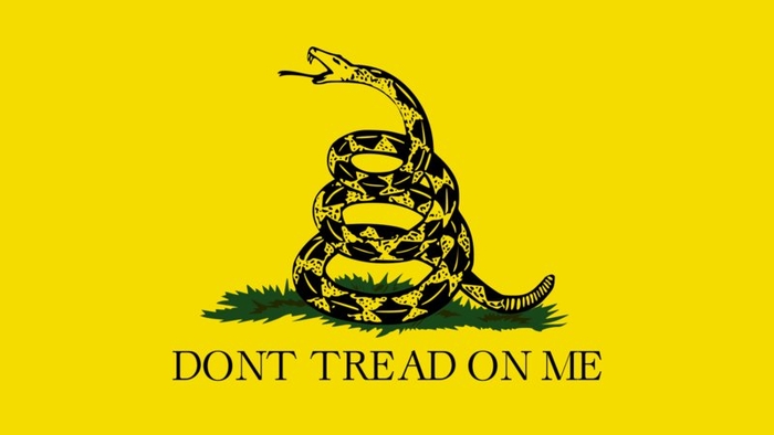 Dont Tread On Me Flag 3x5 BLACK & WHITE Gadsden Tea Party Rattlesnake Snake 