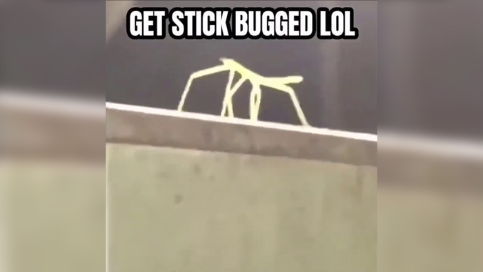 Get Stick Bugged Lol Know Your Meme - trololo roblox id