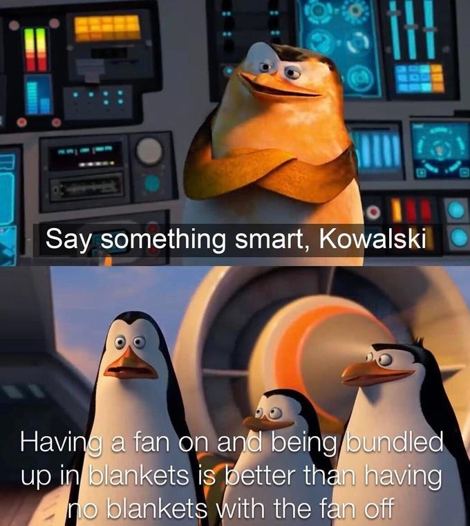 Say Something Smart, Kowalski | Know Your Meme