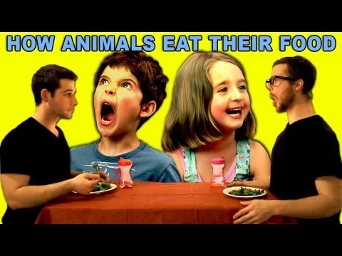 How Animals Eat Their Food | Know Your Meme